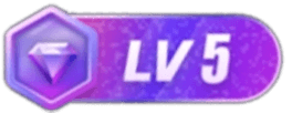 等级-LV5-灵感屋