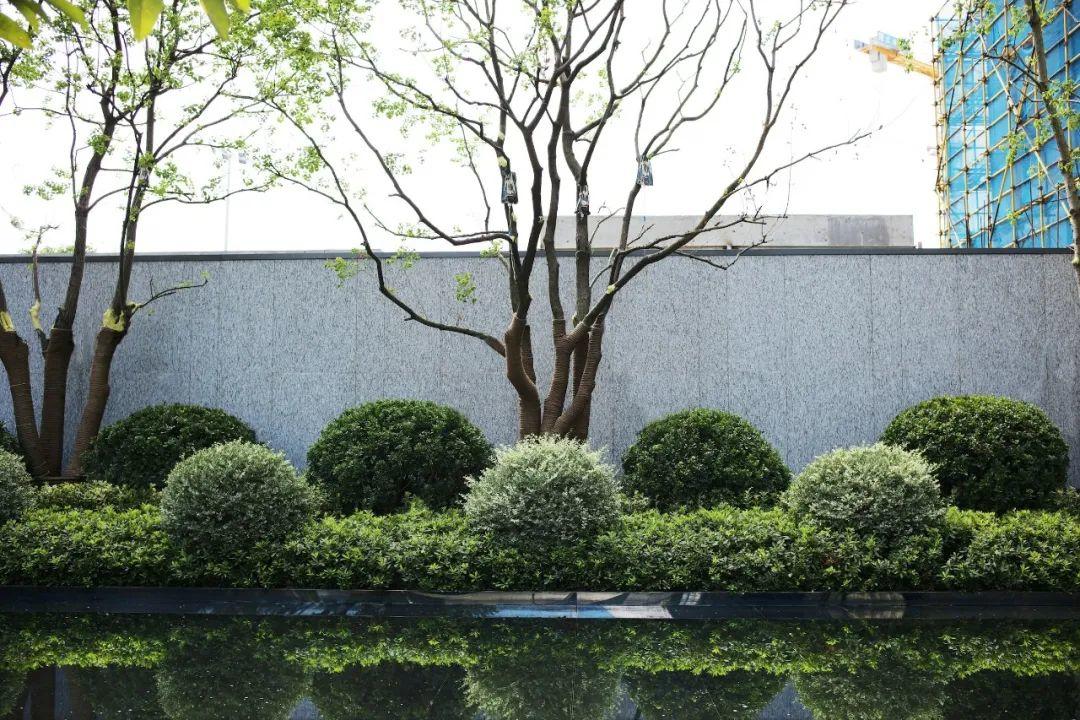图片[7]-滨江壹号示范区实景讲解-灵感屋