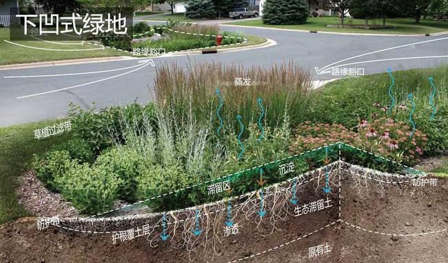 图片[9]-海绵城市六大方针解释及应对方案-灵感屋
