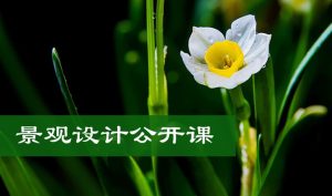 北林、同济、北大、南林等全国高校景观专业在线免费课程全集-灵感屋