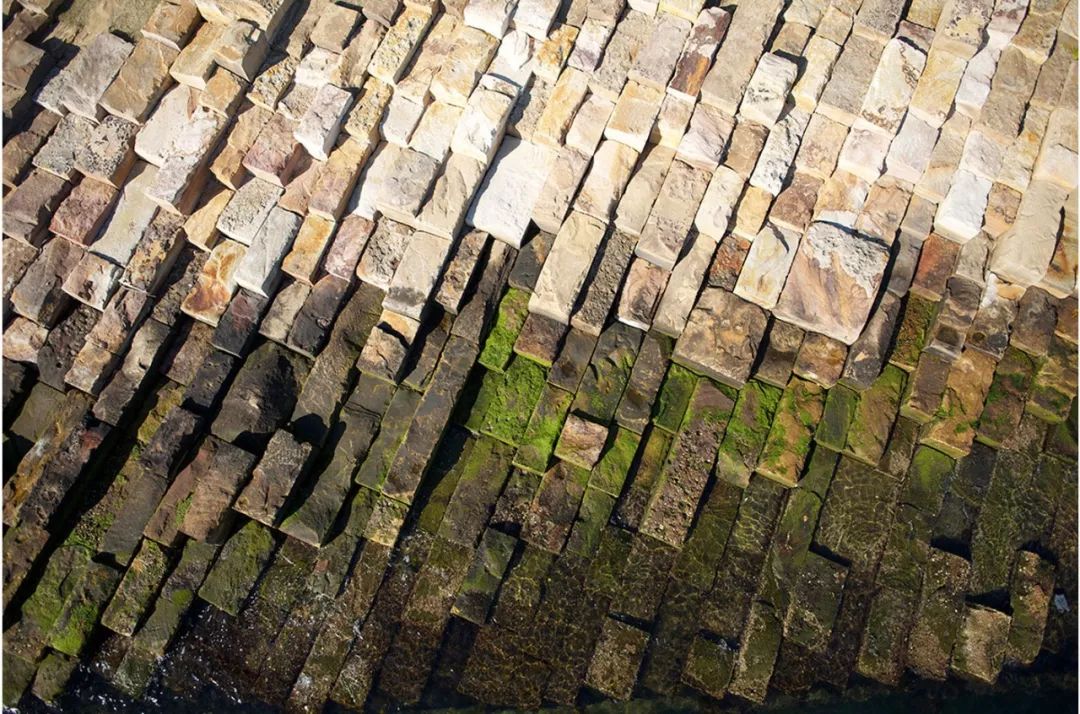 图片[14]-ASLA2019景观通用设计类荣誉奖：悉尼布朗格鲁保护区景观设计-灵感屋