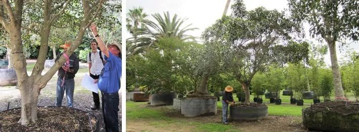 图片[15]-ASLA2019景观通用设计类荣誉奖：悉尼布朗格鲁保护区景观设计-灵感屋