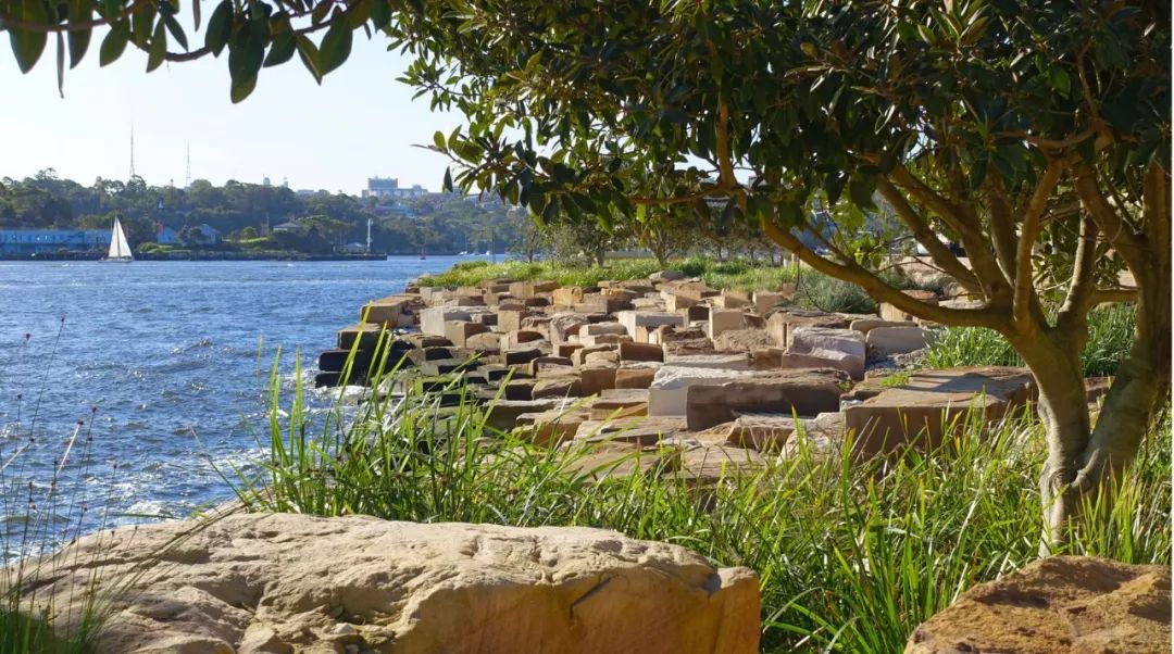 图片[17]-ASLA2019景观通用设计类荣誉奖：悉尼布朗格鲁保护区景观设计-灵感屋