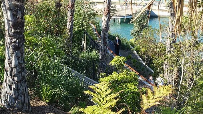 图片[26]-ASLA2019景观通用设计类荣誉奖：悉尼布朗格鲁保护区景观设计-灵感屋