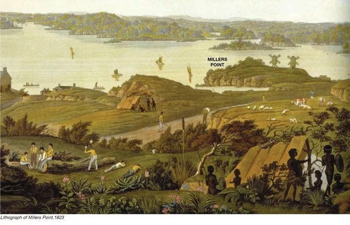 图片[8]-ASLA2019景观通用设计类荣誉奖：悉尼布朗格鲁保护区景观设计-灵感屋