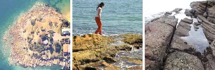 图片[10]-ASLA2019景观通用设计类荣誉奖：悉尼布朗格鲁保护区景观设计-灵感屋