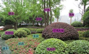 图片[2]-园林五大要素在园林造景中的应用-灵感屋