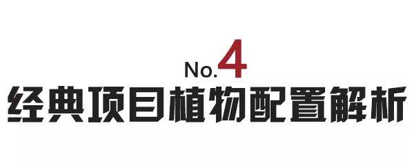 高端景观项目植物配置排版,附景观植物搭配实景,含植物名