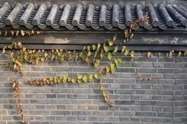 景观材料新宠 · 小青瓦(实用干货)