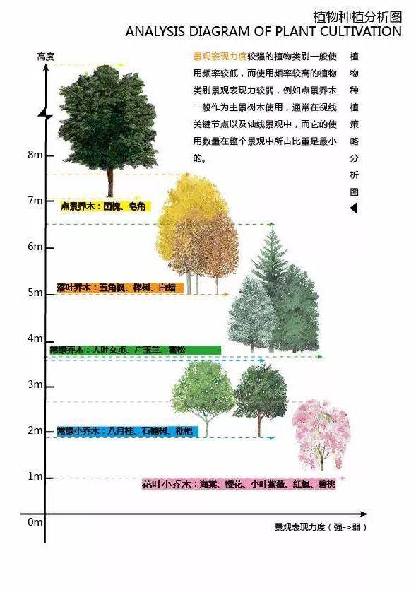 高端景观项目植物配置排版,附景观植物搭配实景,含植物名