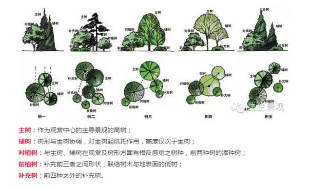 高端景观项目植物配置排版,附景观植物搭配实景,含植物名