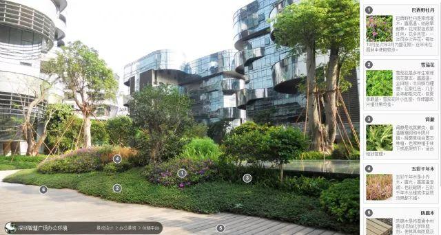 高端景观项目植物配置排版,附景观植物搭配实景,含植物名