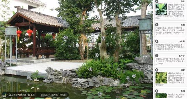 高端景观项目植物配置排版,附景观植物搭配实景,含植物名