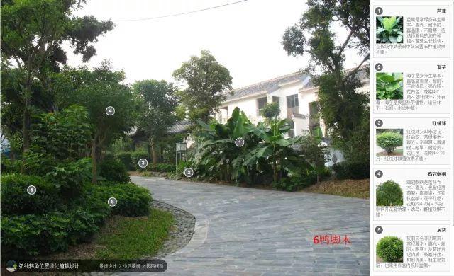 高端景观项目植物配置排版,附景观植物搭配实景,含植物名
