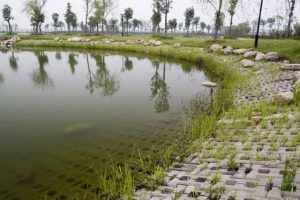 景观生态护坡的种类及优缺点详解-灵感屋