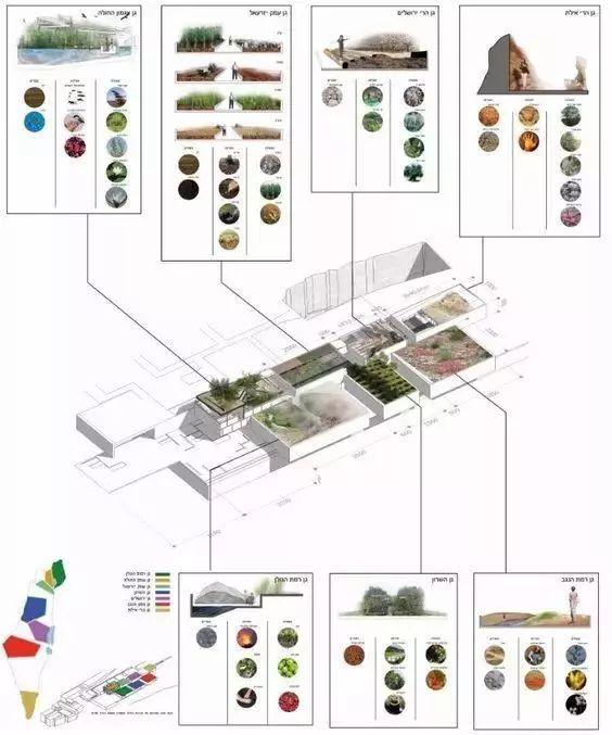 高端景观项目植物配置排版,附景观植物搭配实景,含植物名