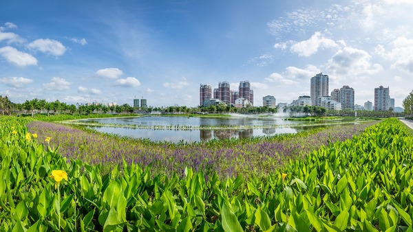 三亚新大兴园林东岸湿地公园1.jpg