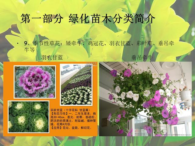 园林绿化基础知识培训课件(图文)