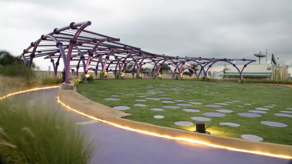 图片[6]-Ramathibodi Healing Garden