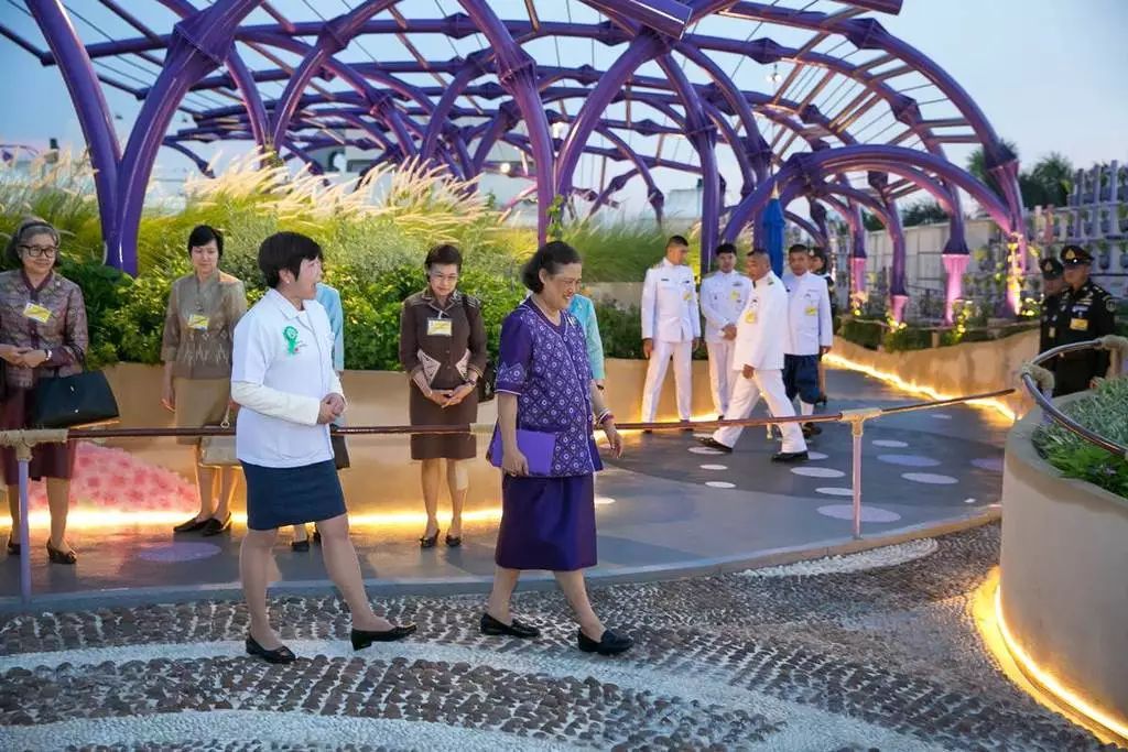 图片[8]-Ramathibodi Healing Garden