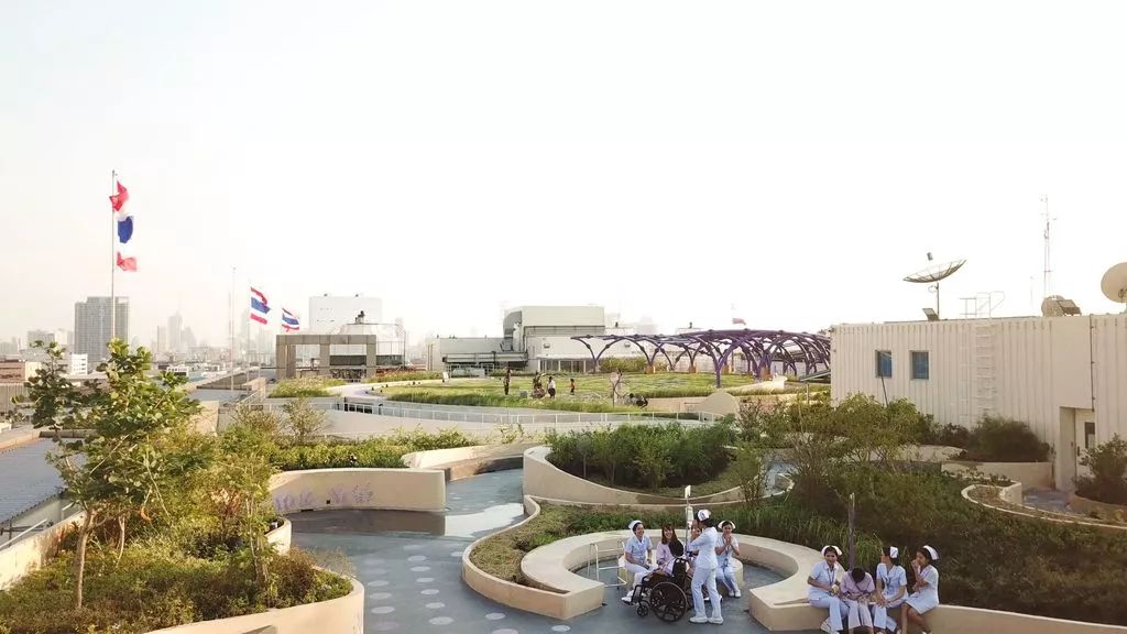 图片[10]-Ramathibodi Healing Garden