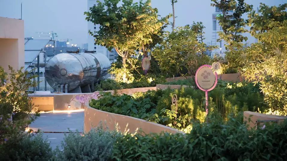 图片[13]-Ramathibodi Healing Garden