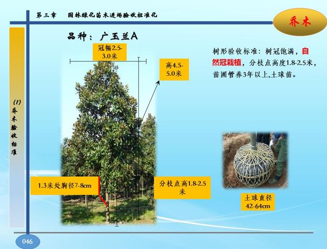 园林景观软硬景配置标准-苗木、施工质量控制指导手册，高清版