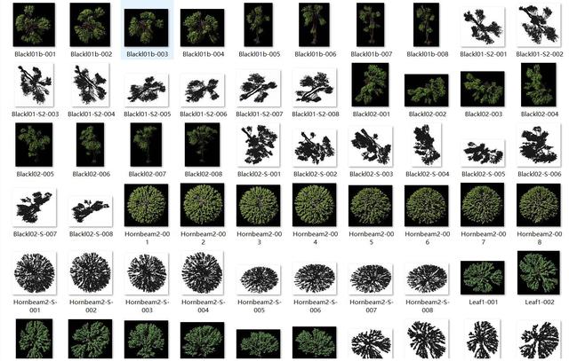常用园林景观植物-各类平面树PSD、CAD、AI线稿,真正好资源