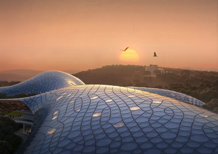 图片[7]-国家植物博物馆方案现已确认清华建筑设计院作品-灵感屋