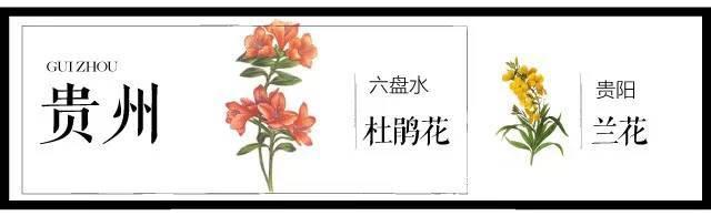 最全204个城市市花,看花涨知识