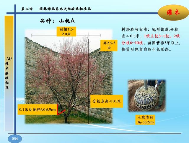 园林景观软硬景配置标准-苗木、施工质量控制指导手册，高清版