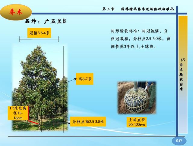 园林景观软硬景配置标准-苗木、施工质量控制指导手册，高清版