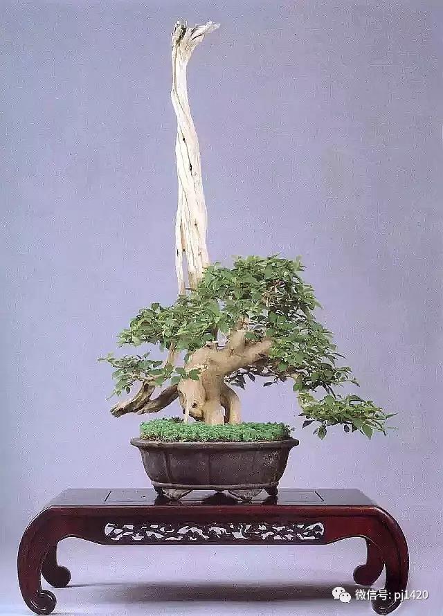 56.jpg 56.jpg