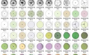 常用园林景观植物-各类平面树PSD、CAD、AI素材线稿-灵感屋