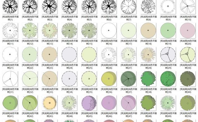 常用园林景观植物-各类平面树PSD、CAD、AI素材线稿-灵感屋