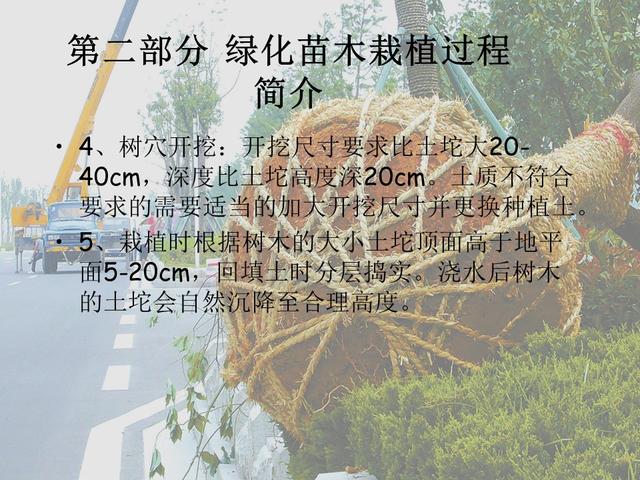 园林绿化基础知识培训课件(图文)