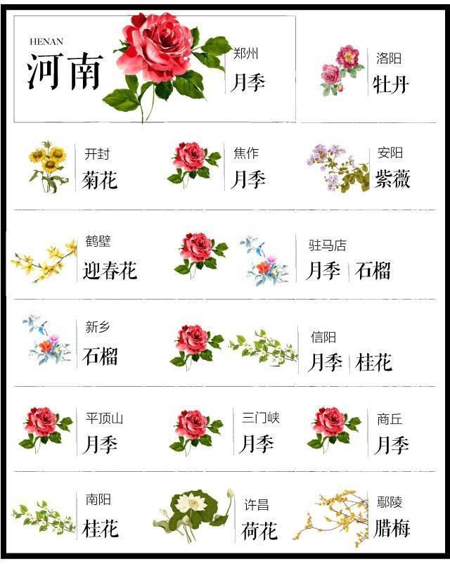 最全204个城市市花,看花涨知识