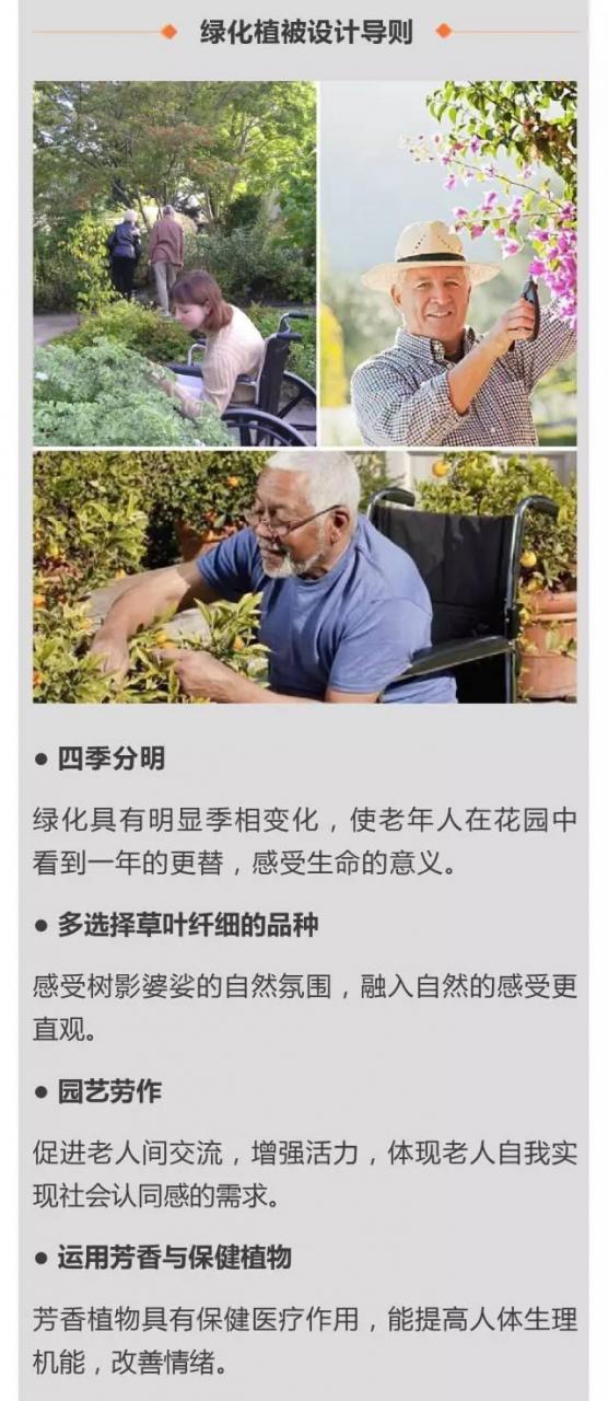 超全!!养老社区报告(规划 景观 建筑 户型)