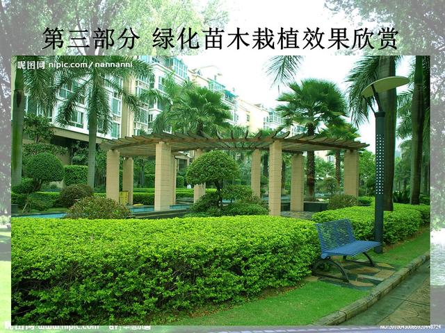 园林绿化基础知识培训课件(图文)