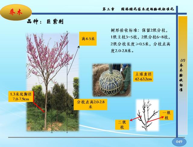 园林景观软硬景配置标准-苗木、施工质量控制指导手册，高清版