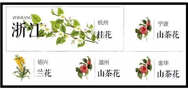 最全204个城市市花,看花涨知识