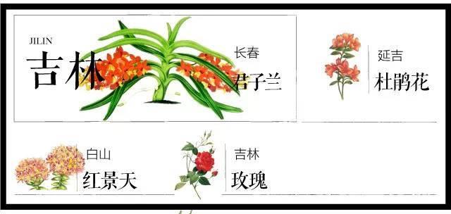 最全204个城市市花,看花涨知识