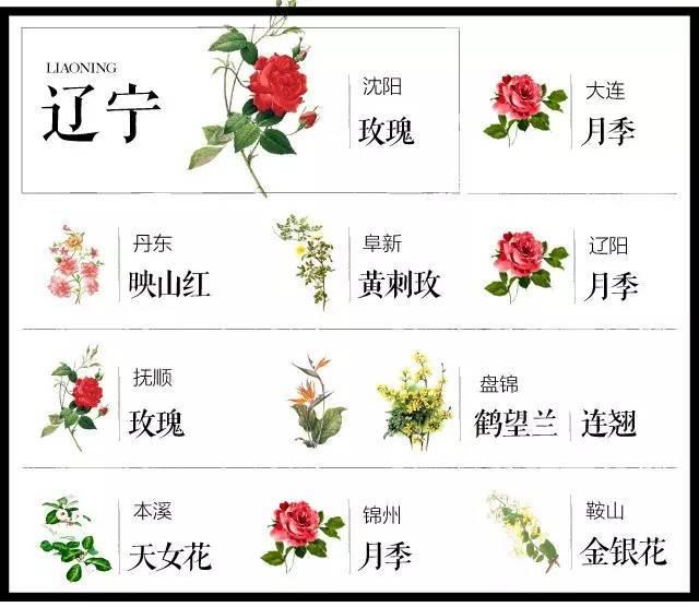最全204个城市市花,看花涨知识