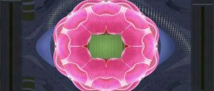 许家印亲自操刀的120亿新球场开工了恒大“菊花”球场-灵感屋