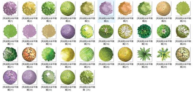 常用园林景观植物-各类平面树PSD、CAD、AI线稿，真正好资源
