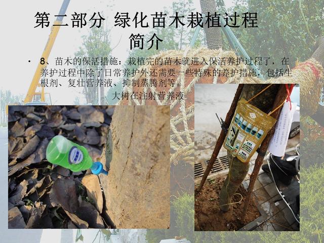 园林绿化基础知识培训课件(图文)