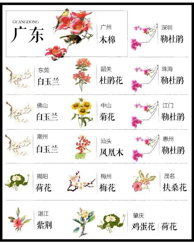 最全204个城市市花,看花涨知识