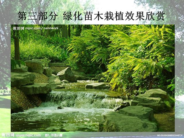 园林绿化基础知识培训课件(图文)