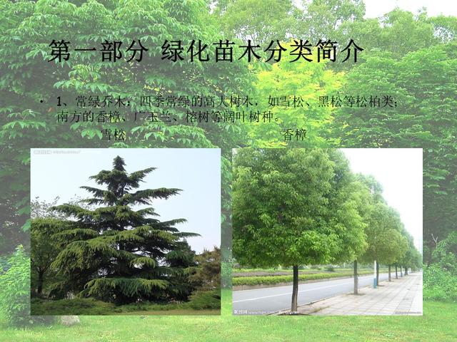 园林绿化基础知识培训课件(图文)