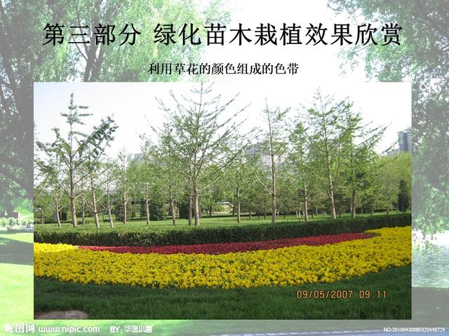 园林绿化基础知识培训课件(图文)